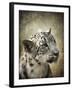 Snow Leopard Portrait-Jai Johnson-Framed Giclee Print