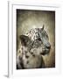 Snow Leopard Portrait-Jai Johnson-Framed Giclee Print