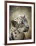 Snow Leopard Portrait-Jai Johnson-Framed Giclee Print