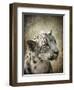 Snow Leopard Portrait-Jai Johnson-Framed Giclee Print