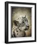 Snow Leopard Portrait-Jai Johnson-Framed Giclee Print