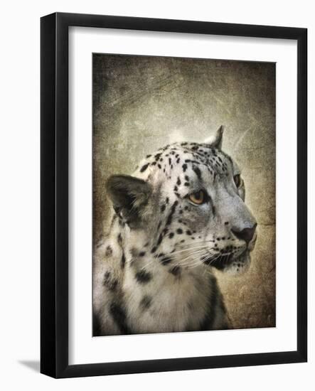 Snow Leopard Portrait-Jai Johnson-Framed Giclee Print