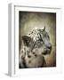 Snow Leopard Portrait-Jai Johnson-Framed Giclee Print