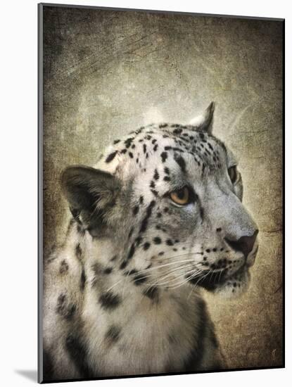 Snow Leopard Portrait-Jai Johnson-Mounted Giclee Print