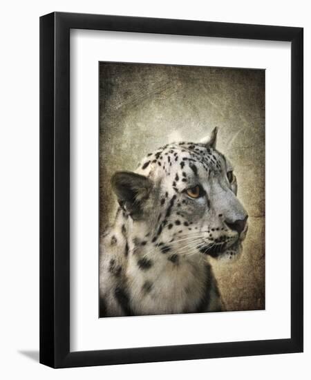 Snow Leopard Portrait-Jai Johnson-Framed Premium Giclee Print
