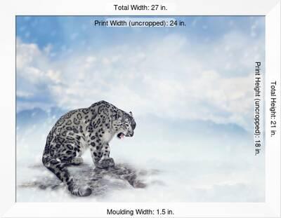 Snow Leopard Sitting On The Rock Photographic Print Svetlana Foote Allposters Com Snow Leopard Sitting On The Rock Photographic Print Svetlana Foote Allposters Com