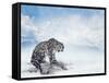 Snow Leopard Sitting on the Rock-Svetlana Foote-Framed Stretched Canvas