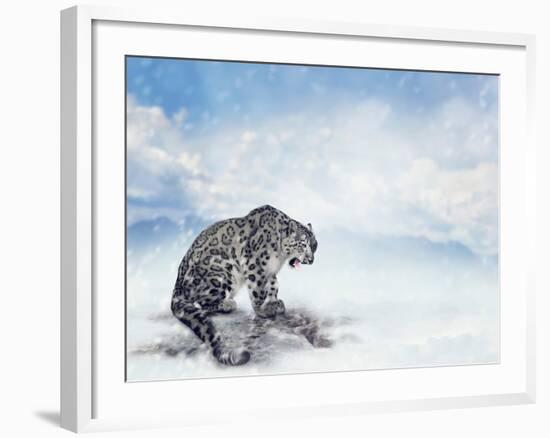 Snow Leopard Sitting on the Rock-Svetlana Foote-Framed Photographic Print