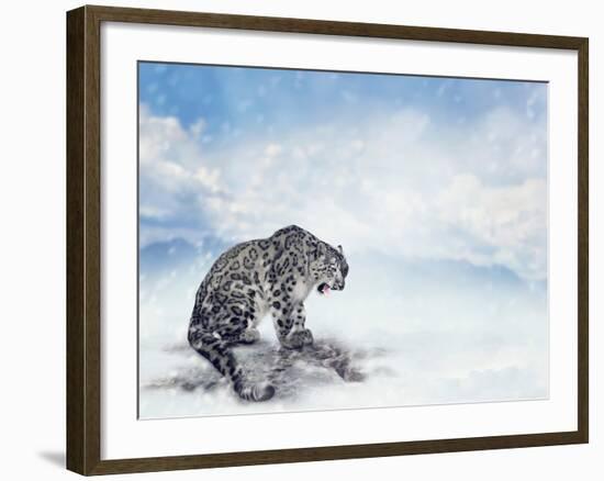 Snow Leopard Sitting on the Rock-Svetlana Foote-Framed Photographic Print