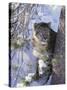 Snow Leopard Sitting under Tree-DLILLC-Stretched Canvas