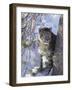 Snow Leopard Sitting under Tree-DLILLC-Framed Photographic Print