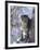 Snow Leopard Sitting under Tree-DLILLC-Framed Photographic Print