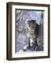 Snow Leopard Sitting under Tree-DLILLC-Framed Photographic Print