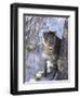 Snow Leopard Sitting under Tree-DLILLC-Framed Photographic Print