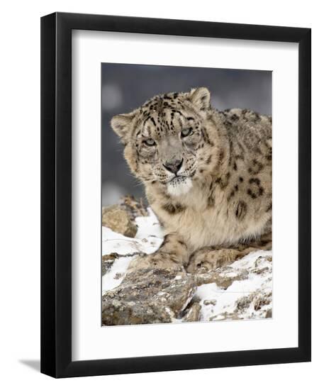Premium Photographic Print, , large