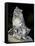 Snow Leopard, Uncia Uncia, Panthera Uncia, Nepal-Andres Morya Hinojosa-Framed Stretched Canvas