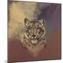 Snow Leopard-Stan Kaminski-Mounted Giclee Print