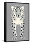 Snow Leopard-null-Framed Stretched Canvas