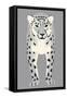 Snow Leopard-null-Framed Stretched Canvas