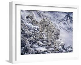 Snow Leopard-Jeff Tift-Framed Giclee Print