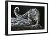 Snow Leopard-Jeremy Paul-Framed Giclee Print