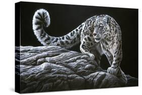 Snow Leopard-Jeremy Paul-Stretched Canvas