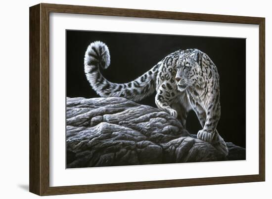 Snow Leopard-Jeremy Paul-Framed Giclee Print