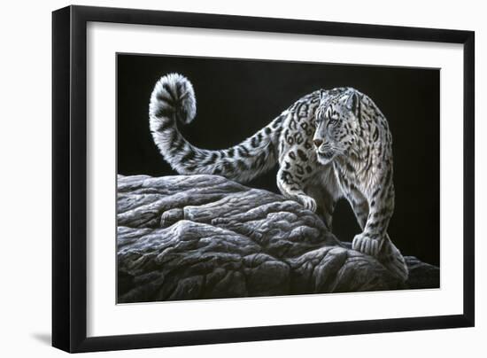 Snow Leopard-Jeremy Paul-Framed Giclee Print