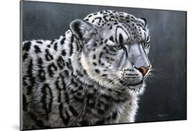 Snow Leopard-Jeremy Paul-Mounted Giclee Print