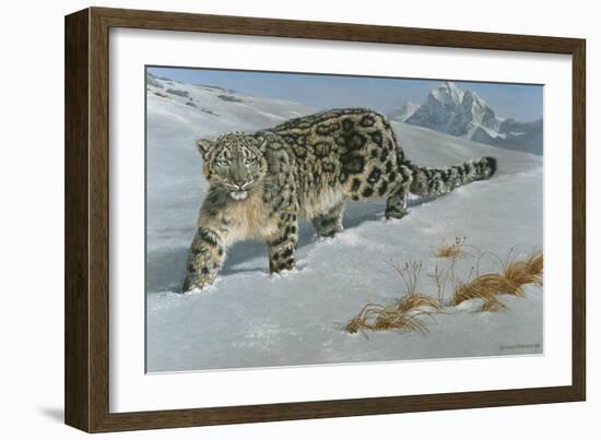 Snow Leopard-Harro Maass-Framed Giclee Print