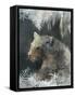 Snow Leopard-Ken Roko-Framed Stretched Canvas
