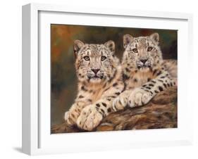 snow leopards-David Stribbling-Framed Art Print