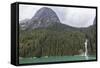 Snow-Melt Waterfall in Tracy Arm-Ford's Terror Wilderness Area-Michael Nolan-Framed Stretched Canvas