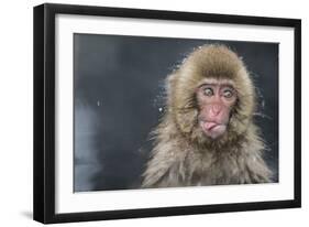 Snow Money, Tongue Out-Takeshi Marumoto-Framed Giclee Print