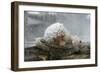 Snow Monkey in Snow Storm-null-Framed Photographic Print