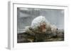 Snow Monkey in Snow Storm-null-Framed Photographic Print