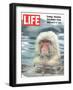 Snow Monkey of Japan in Water, January 30, 1970-Co Rentmeester-Framed Photographic Print