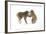 Snow Monkeys (Macaca Fuscata) Young Fighting in Snow, Nagano, Japan, February-Danny Green-Framed Photographic Print