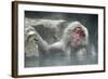 Snow Monkeys-null-Framed Photographic Print