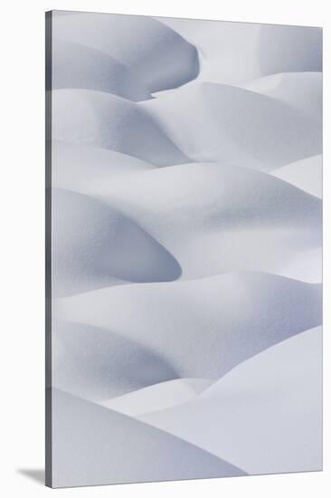 Snow Mounds-Rob Tilley-Stretched Canvas