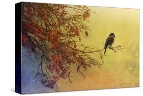 Snow Oak-Chris Vest-Stretched Canvas