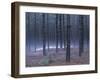 Snow on a Native American Burial Mound Near the Wolf River, Wisconsin-null-Framed Photographic Print