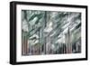 Snow on Cedars-Ursula Abresch-Framed Photographic Print