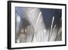 Snow on Grass, Durmitor Np, Montenegro, October 2008-Radisics-Framed Photographic Print