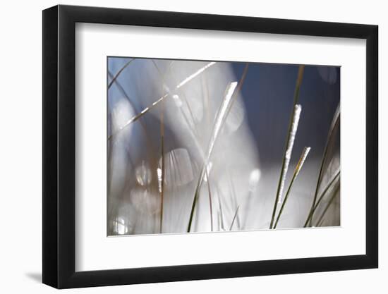 Snow on Grass, Durmitor Np, Montenegro, October 2008-Radisics-Framed Photographic Print