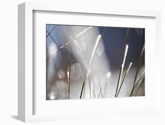 Snow on Grass, Durmitor Np, Montenegro, October 2008-Radisics-Framed Photographic Print