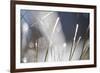 Snow on Grass, Durmitor Np, Montenegro, October 2008-Radisics-Framed Photographic Print