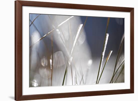 Snow on Grass, Durmitor Np, Montenegro, October 2008-Radisics-Framed Photographic Print