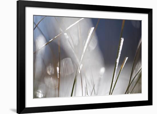 Snow on Grass, Durmitor Np, Montenegro, October 2008-Radisics-Framed Photographic Print