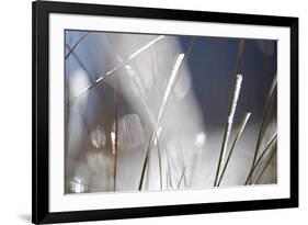 Snow on Grass, Durmitor Np, Montenegro, October 2008-Radisics-Framed Photographic Print